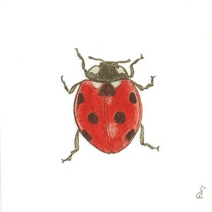 S651# 3 pezzi di PICCOLI tovaglioli di carta singoli per decoupage, tessuto artigianale formato cocktail, coccinella rossa coccinella coleottero insetto su bianco