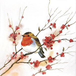 May include: A watercolor painting of a robin perched on a branch with red berries. The bird has a red breast, brown back, and blue tail feathers. The branches are thin and delicate, and the berries are small and clustered together.