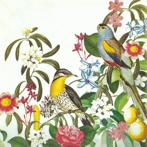 T389 # 3 Stück einzelne Papierservietten für Decoupage, Bastelpapier, Exotische Dschungel Blumen Ecke mit Vögeln Auf Hellgrünem/Beigen Hintergrund
