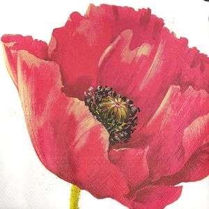 N578# 3 Pieces Of Single Paper Napkins for Decoupage, Craft Tissue, Big Red Poppy Flower On White Background