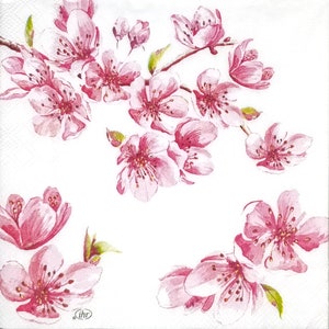 Z020# 3 pezzi di PICCOLI tovaglioli di carta singoli per decoupage, tessuto artigianale formato cocktail, fiori primaverili in fiore ciliegio sakura ramoscelli su bianco