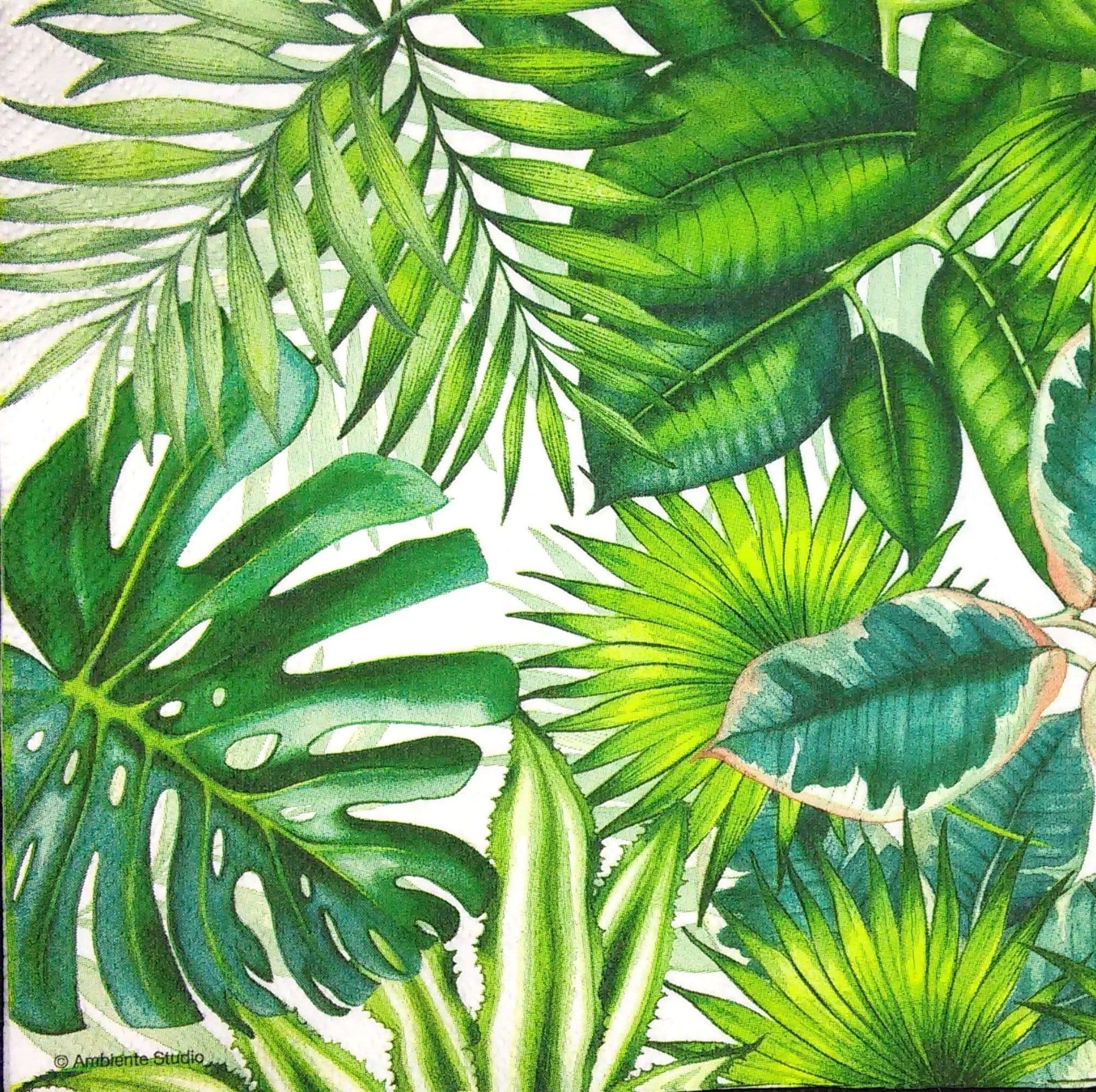 3 x Single Paper Napkins For Decoupage Craft Green Jungle Leaves Pattern M479