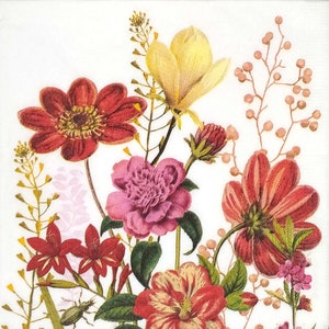 T622# 3 pezzi di tovaglioli di carta singoli per decoupage, tessuti artigianali, motivo prato con fiori dell'universo giallo rosso su sfondo bianco