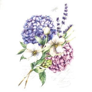 U025# 3 pezzi di tovaglioli di carta singoli per decoupage, fazzoletti artigianali, bouquet di fiori di ortensia rosa viola su bianco