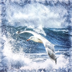 U228# 3 pezzi di tovaglioli di carta singoli per decoupage, fazzoletti artigianali, gabbiano in volo sopra onde del mare