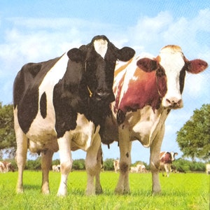 P113 n° 3 serviettes en papier pour découpage, papier de soie artisanal, paire de vaches brunes, blanches et noires dans un champ