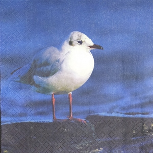 N625# 3 pezzi di tovaglioli di carta singoli per decoupage, carta velina, gabbiano bianco in piedi vicino all'acqua blu