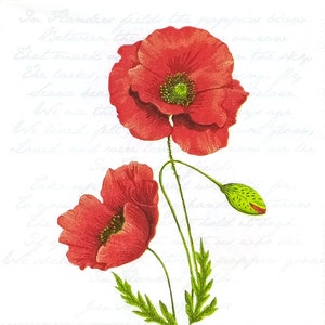 S360# 3 pezzi di PICCOLI tovaglioli di carta singoli per decoupage, formato cocktail di fazzoletti artigianali, fiore di papavero rosso su sfondo bianco con scritta