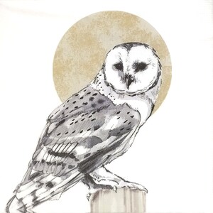 U121# 3 pezzi di tovaglioli di carta singoli per decoupage, fazzoletti artigianali, gufo grigio bianco su ramo con grande luna