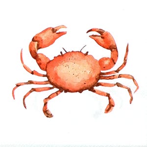 Z193 # 3 Stück KLEINE Einzel Papierservietten für Decoupage, Craft Tbezug Cocktail Größe, Rote Krabbe Meer Lebensmittel Leben Auf Weiß