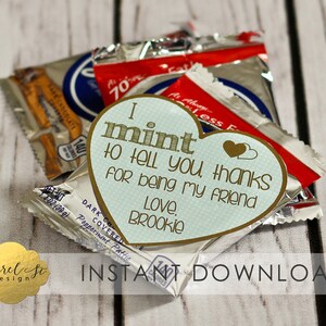 Valentine Printable - I MINT to tell you Thanks for being My friend! - INSTANT DOWNLOAD