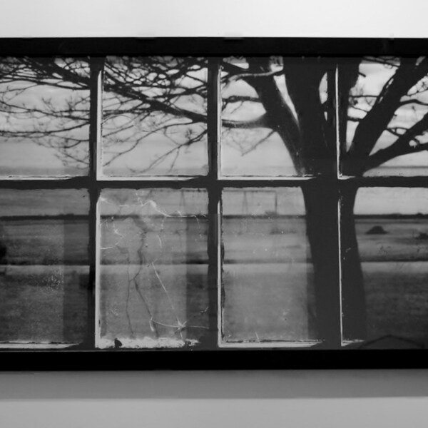 Let Me Out (Original Photograph, Black & White) Photography / Asylum / Mental Illness / Anxiety / Landscape / Window / Original Artwork