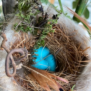 May include: A blue bird's egg nestled in a bird's nest made of twigs and feathers.