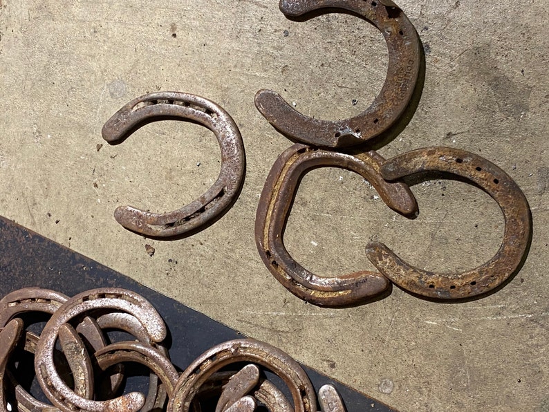 Real Horseshoe Rusty Horseshoe Authentic Horseshoe Used Etsy