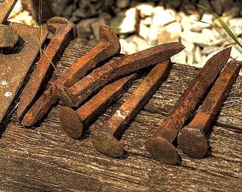 Authentic Rusted Railroad Spikes from Buffalo NY