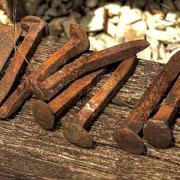 Authentic Rusted Railroad Spikes from Buffalo NY