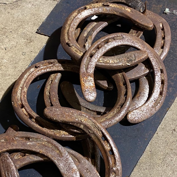 Real Horseshoe, rusty horseshoe, Authentic Horseshoe, Used Horseshoes for sale, Lucky horseshoe, Horseshoe wall hanging, Kentucky Derby