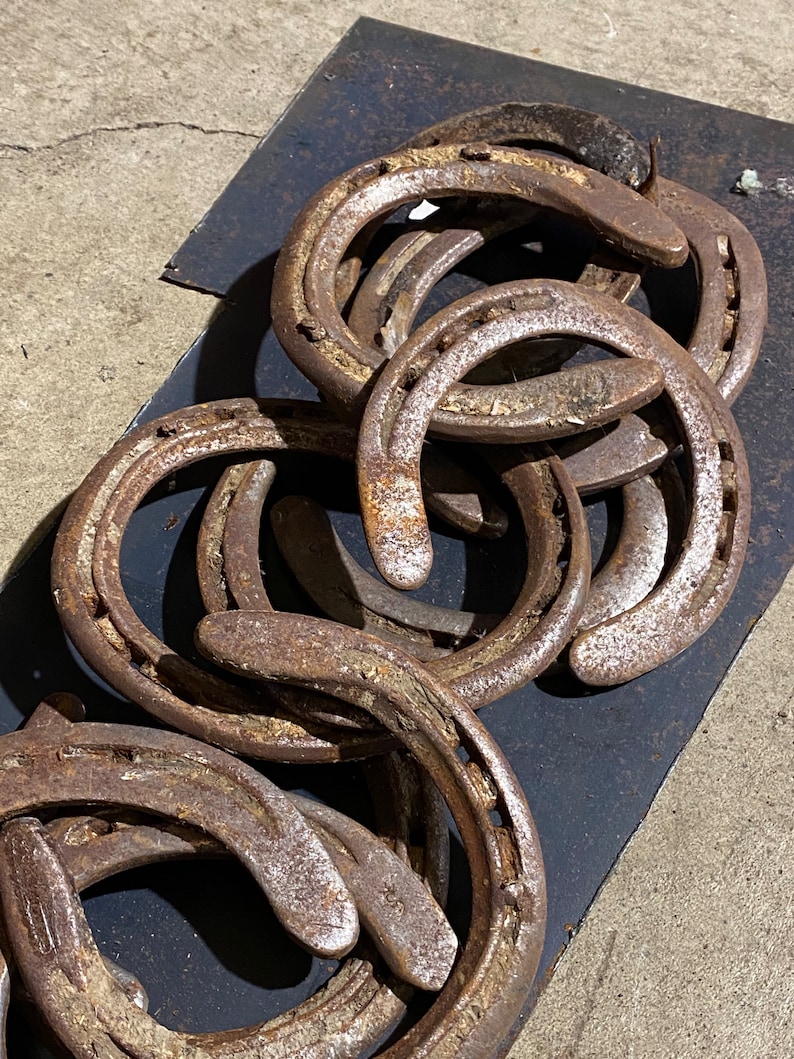Real Horseshoe Rusty Horseshoe Authentic Horseshoe Used Etsy