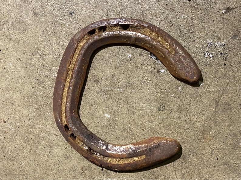 Real Horseshoe Rusty Horseshoe Authentic Horseshoe Used Etsy