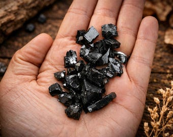 Elite Shungite for Water Purification, Raw Noble Shungite Stones, Karelia Russia Natural Carbon Mineral