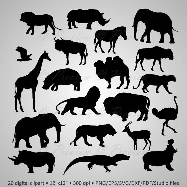 Download Buy 2 Get 1 Free Digital Clipart African Wild Animals Etsy