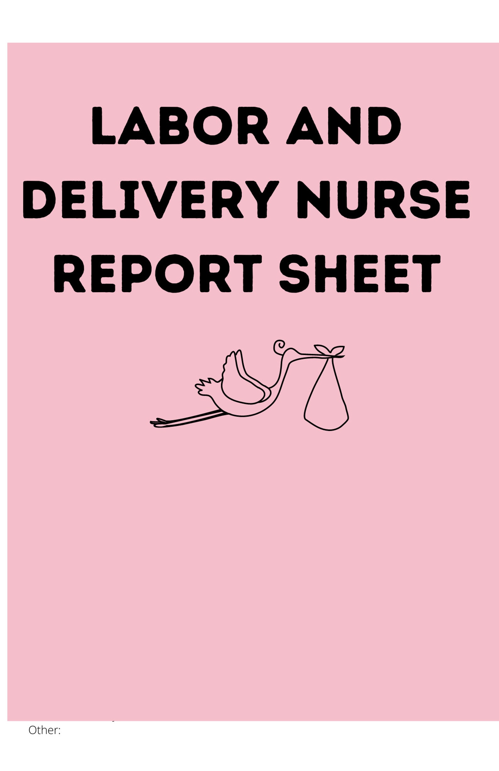 Labor and Delivery Nurse Report Sheet DIGITAL DOWNLOAD | Etsy