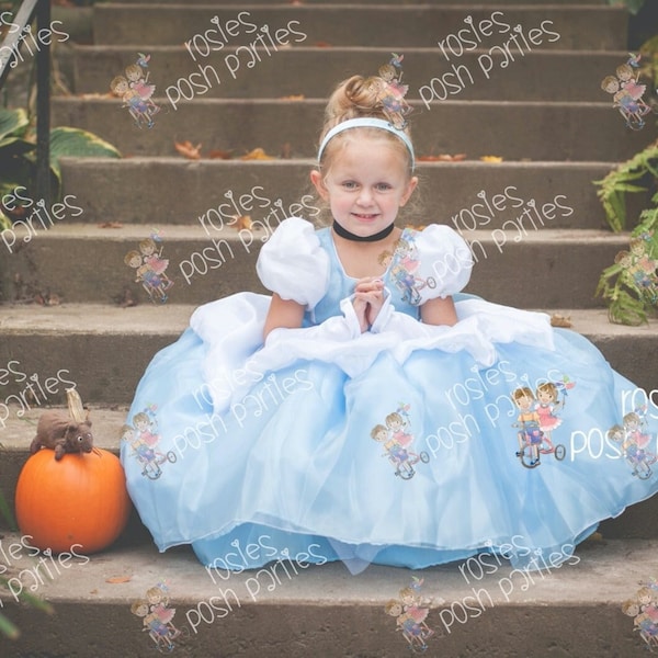 Cinderella dress for Birthday costume or Photo shoot Cinderella dress outfit Birthday dress Cinderella costume Princess dress for Birthday