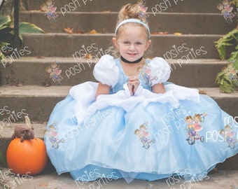 Cinderella dress for Birthday costume or Photo shoot Cinderella dress outfit Birthday dress Cinderella costume Princess dress for Birthday