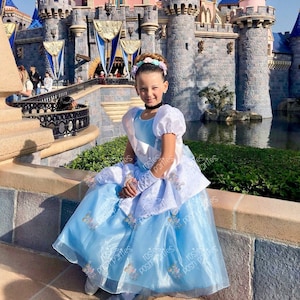 Cinderella dress for Birthday costume or Photo shoot Cinderella dress outfit Birthday dress Cinderella costume Princess dress for Birthday