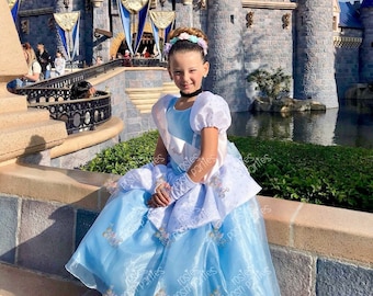 Cinderella dress for Birthday costume or Photo shoot Cinderella dress outfit Birthday dress Cinderella costume Princess dress for Birthday