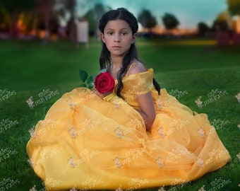 Princess Belle dress for Birthday costume or Photo shoot Belle dress outfit Birthday dress Belle costume Princess dress for Birthday party
