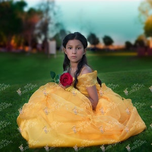 Princess Belle dress for Birthday costume or Photo shoot Belle dress outfit Birthday dress Belle costume Princess dress for Birthday party