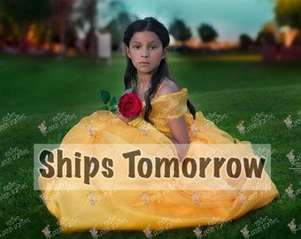 Princess Belle dress for Birthday costume or Photo shoot Belle dress outfit Birthday dress Belle costume Princess dress for Birthday party