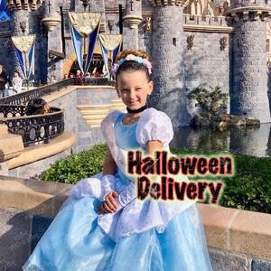 5t Cinderella Dress Etsy
