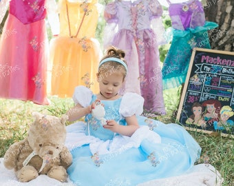 Cinderella dress for Birthday costume or Photo shoot Cinderella dress outfit Birthday dress Cinderella costume Princess dress for Birthday