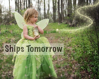 Tinkerbell Fairy dress for Birthday costume or Photo shoot Tinkerbell dress outfit Birthday dress costume Princess dress for Birthday party