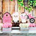 Pink Farm Theme Girl Farm Birthday Pink Farm Party Farm - Etsy