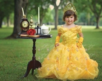 Princess Belle Dress for Birthday Costume or Photo Shoot Belle
