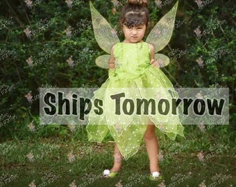 Tinkerbell Fairy dress for Birthday costume or Photo shoot Tinkerbell dress outfit Birthday dress costume Princess dress for Birthday party