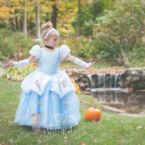 Cinderella dress for Birthday costume or Photo shoot Cinderella dress outfit Birthday dress Cinderella costume Princess dress for Birthday