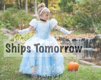 Cinderella dress for Birthday costume or Photo shoot Cinderella dress outfit Birthday dress Cinderella costume Princess dress for Birthday