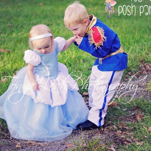 Cinderella Dress for Birthday Costume or Photo Shoot | Etsy