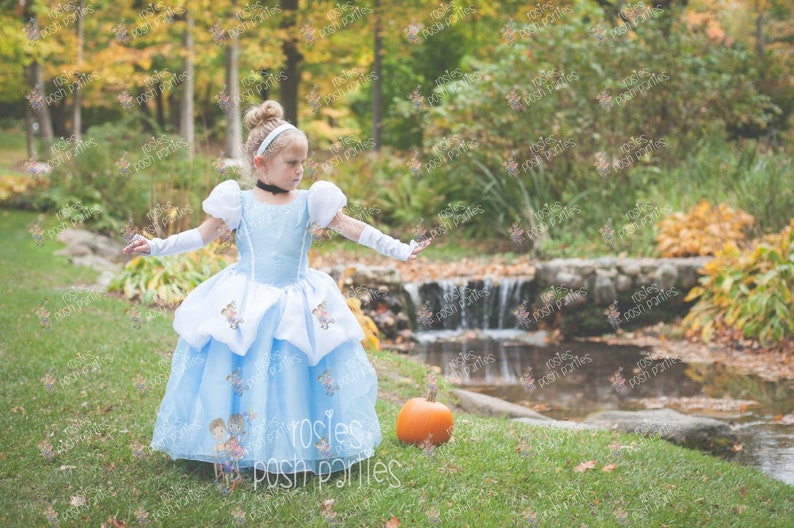 Cinderella dress for Birthday costume or Photo shoot Cinderella dress outfit Birthday dress Cinderella costume Princess dress for Birthday image 7