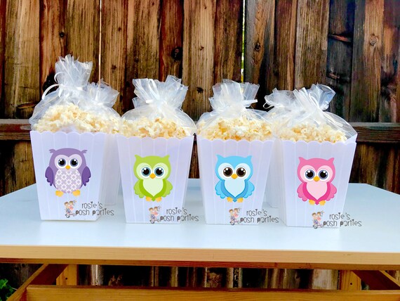 Owl Baby Shower Party Favor Centerpiece Its A Boy Owl Its A Girl