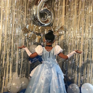 Vestido de Cenicienta para traje de cumpleaños o sesión de fotos Traje de vestido de Cenicienta Vestido de cumpleaños Traje de Cenicienta Vestido de princesa para cumpleaños imagen 6