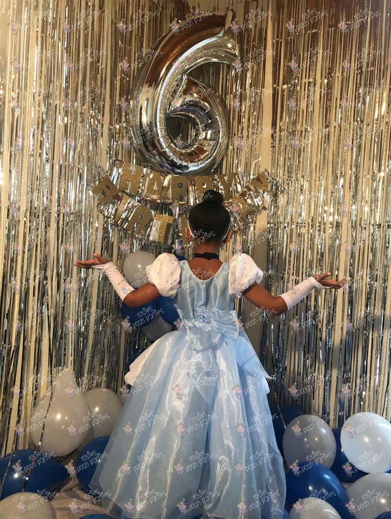 Vestido de Cenicienta para traje de cumpleaños o sesión de fotos Traje de vestido de Cenicienta Vestido de cumpleaños Traje de Cenicienta Vestido de princesa para cumpleaños imagen 6