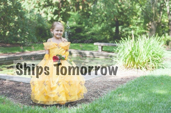 Princess Belle dress for Birthday costume or Photo shoot Belle dress outfit Birthday dress Belle costume Princess dress for Birthday party Il_570xn