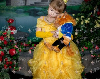 Princess Belle dress for Birthday costume or Photo shoot Belle dress outfit  Birthday dress Belle costume Princess dress for Birthday party