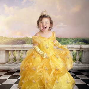princess belle birthday costume gown dress
