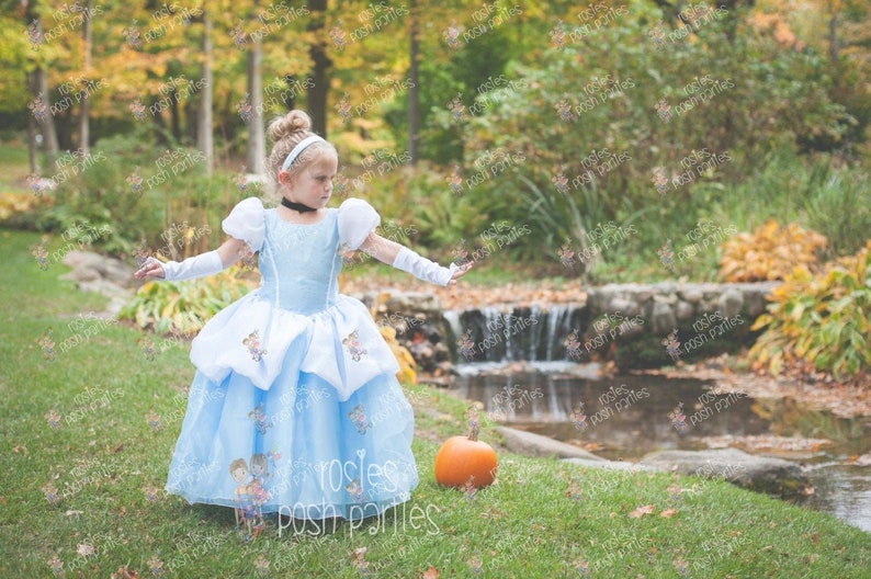 Vestido de Cenicienta para traje de cumpleaños o sesión de fotos Traje de vestido de Cenicienta Vestido de cumpleaños Traje de Cenicienta Vestido de princesa para cumpleaños imagen 1